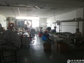 寶安區福永白石廈新塘工業區精品廠房及教育場地出租