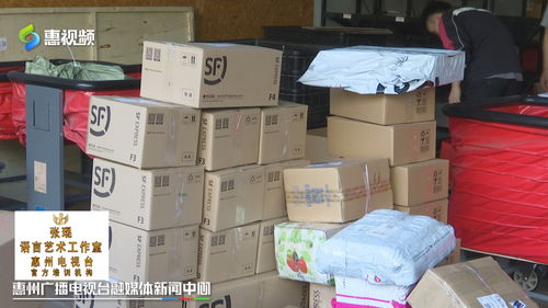 雙十一惠州網友熱衷“血拼”食品，快遞公司迎來攬件高峰